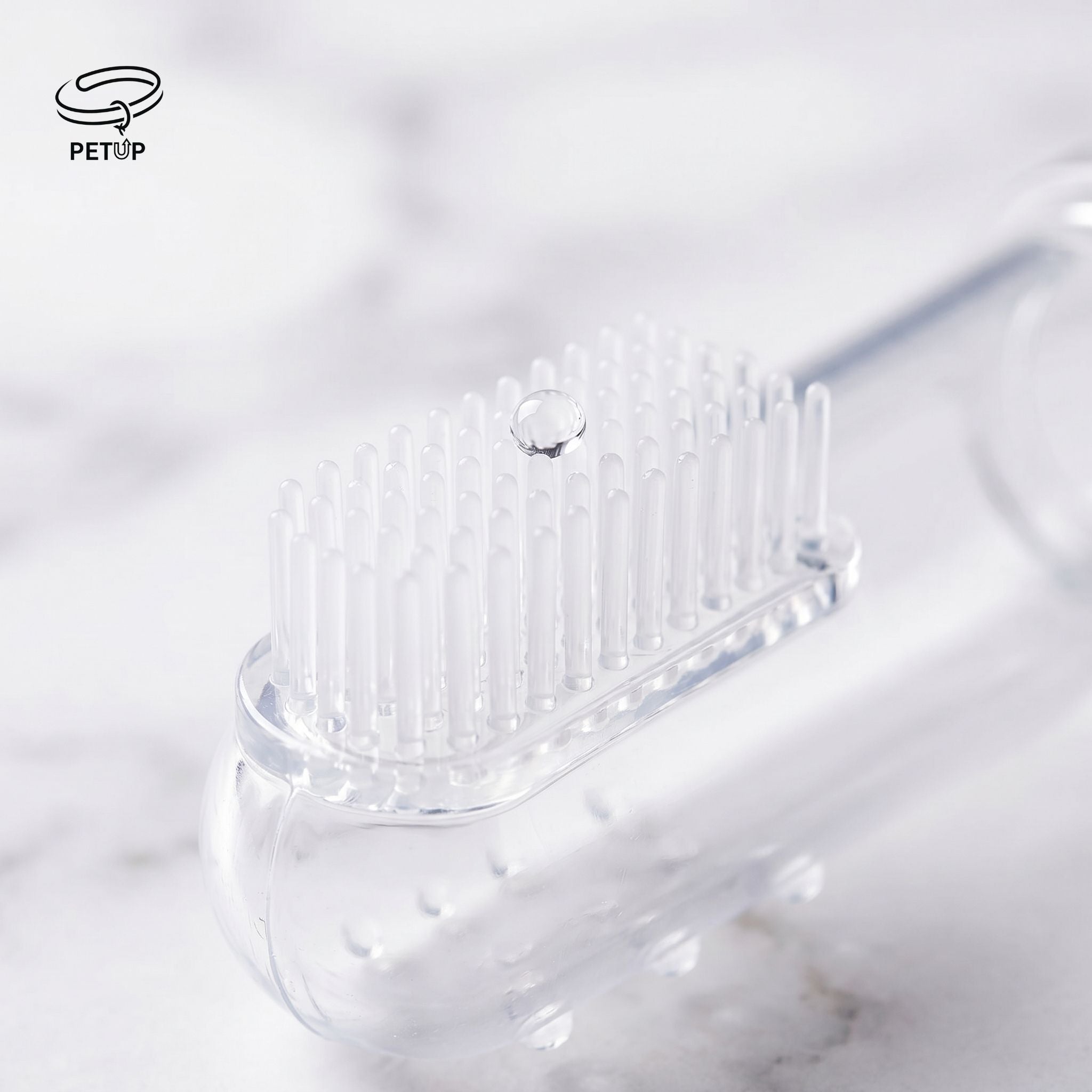 The Dental Care Kit
