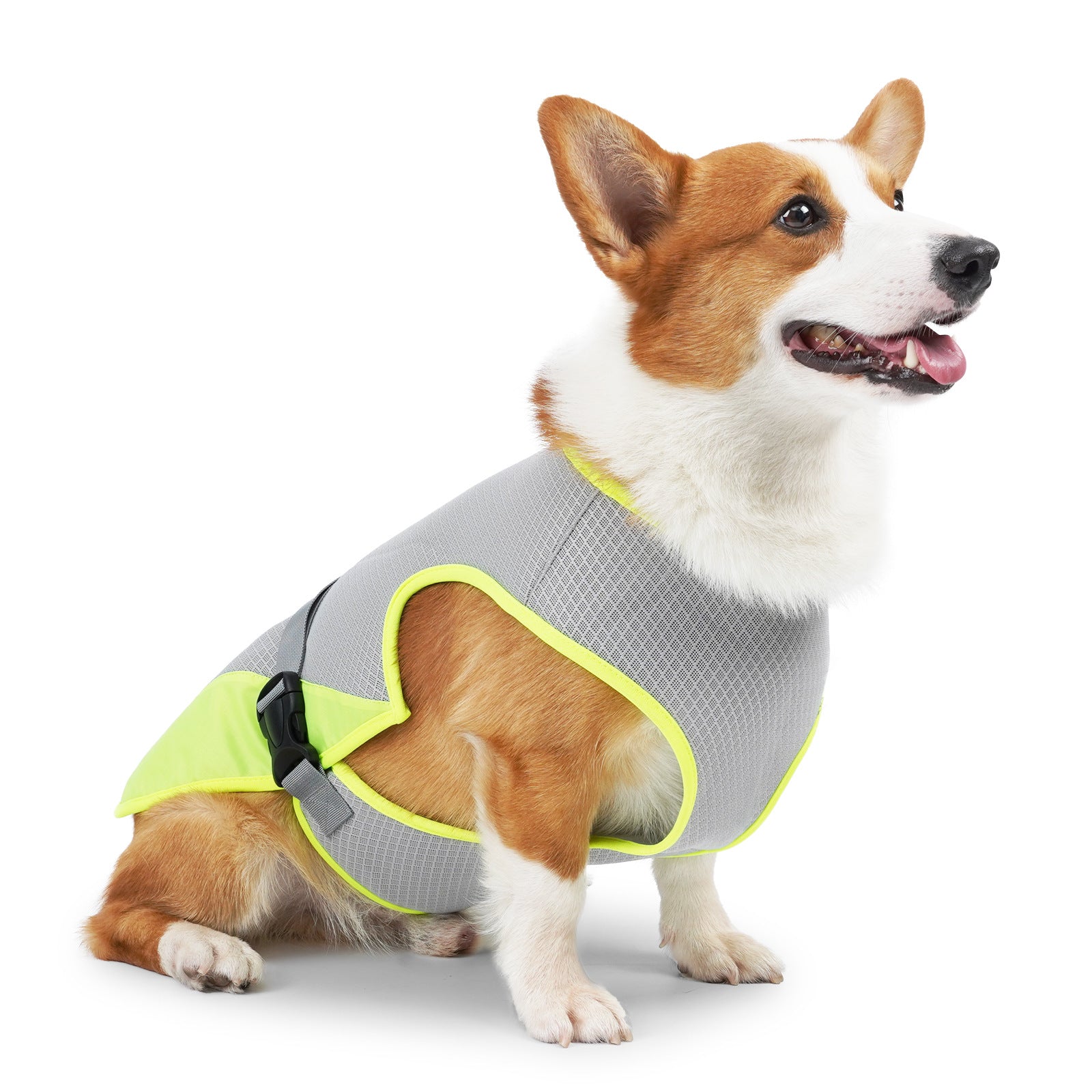 The Active Cooling Vest