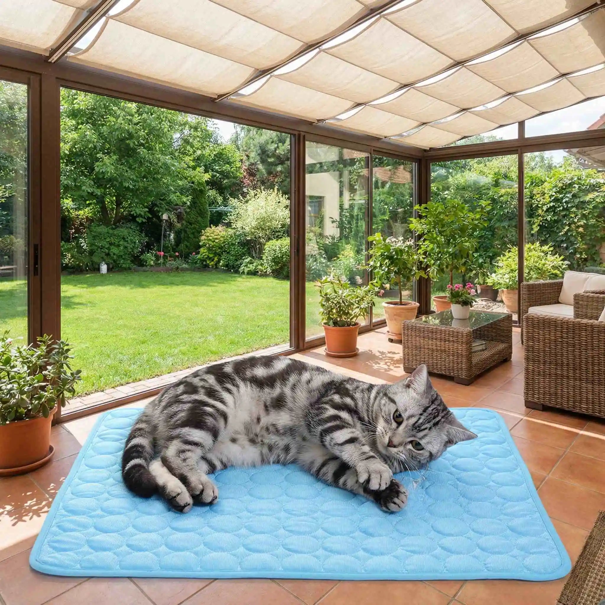 Pet Summer Bed Dog Cooling Ice Mat Cat Cold Bed Extra for All Size Puppy Supplies Pet Accessories Cat Washable Sofa Blanket