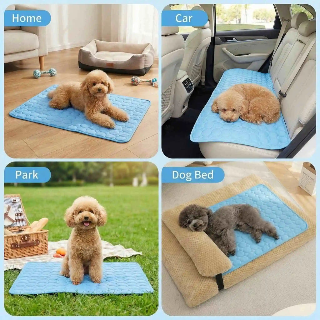 Pet Summer Bed Dog Cooling Ice Mat Cat Cold Bed Extra for All Size Puppy Supplies Pet Accessories Cat Washable Sofa Blanket