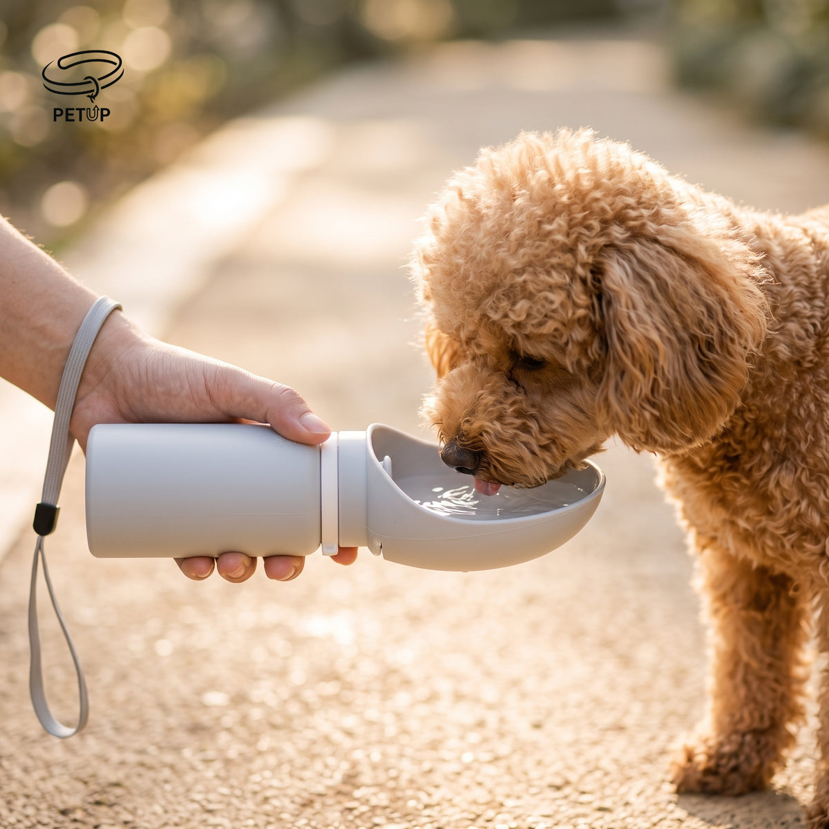 The Smart Travel Flask