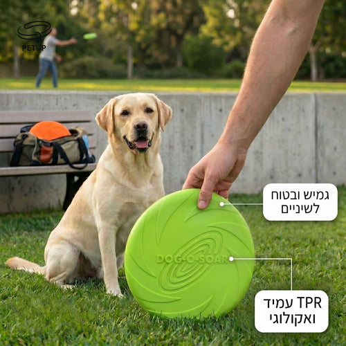 The Aero-Glide Disc