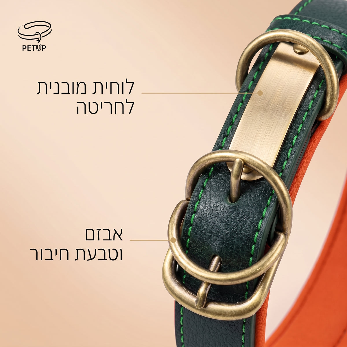 The Signature Collar