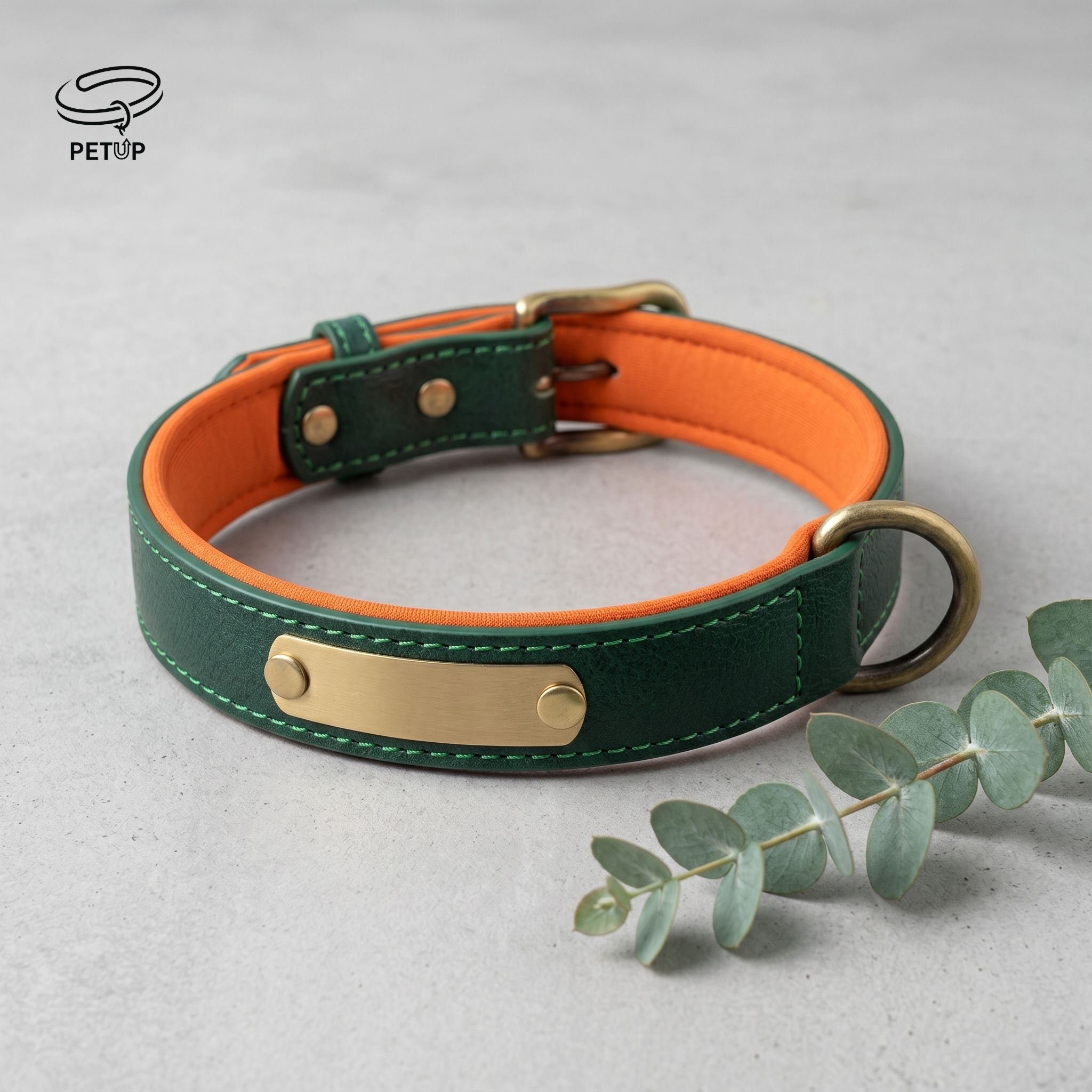The Signature Collar