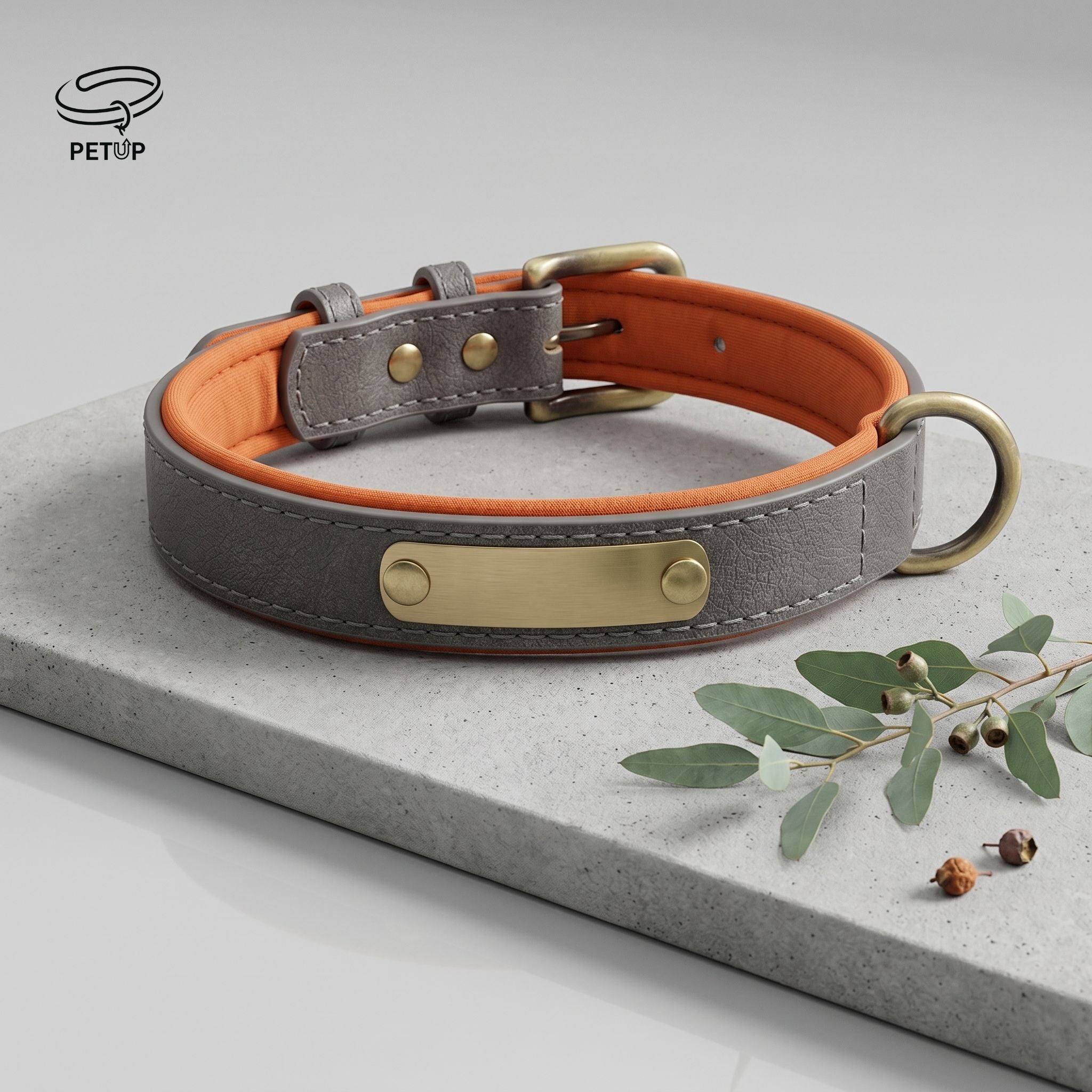 The Signature Collar
