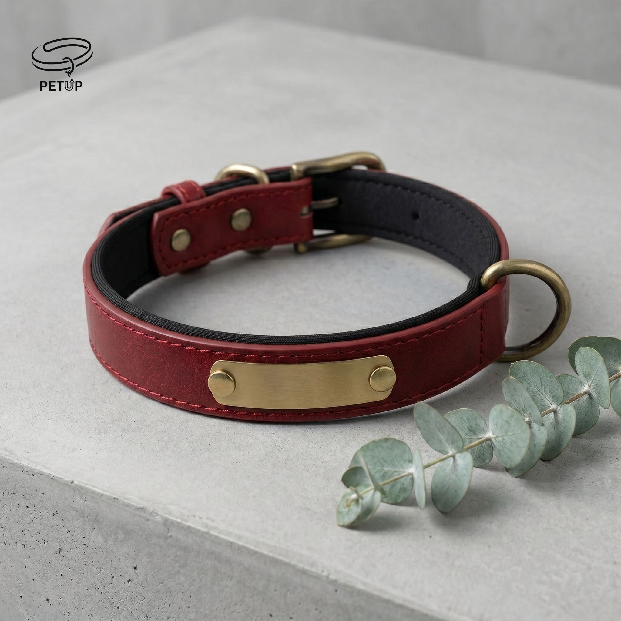 The Signature Collar