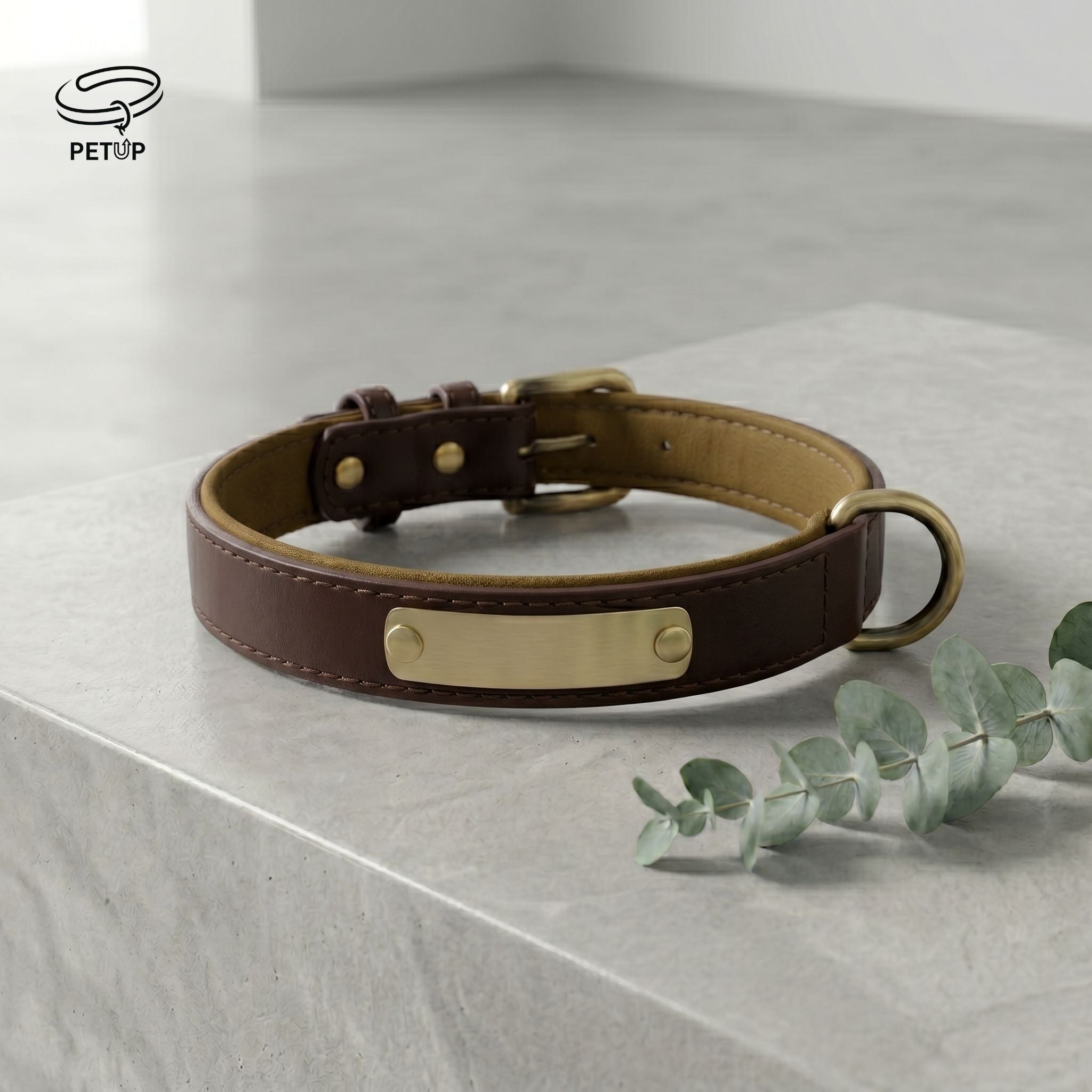 The Signature Collar