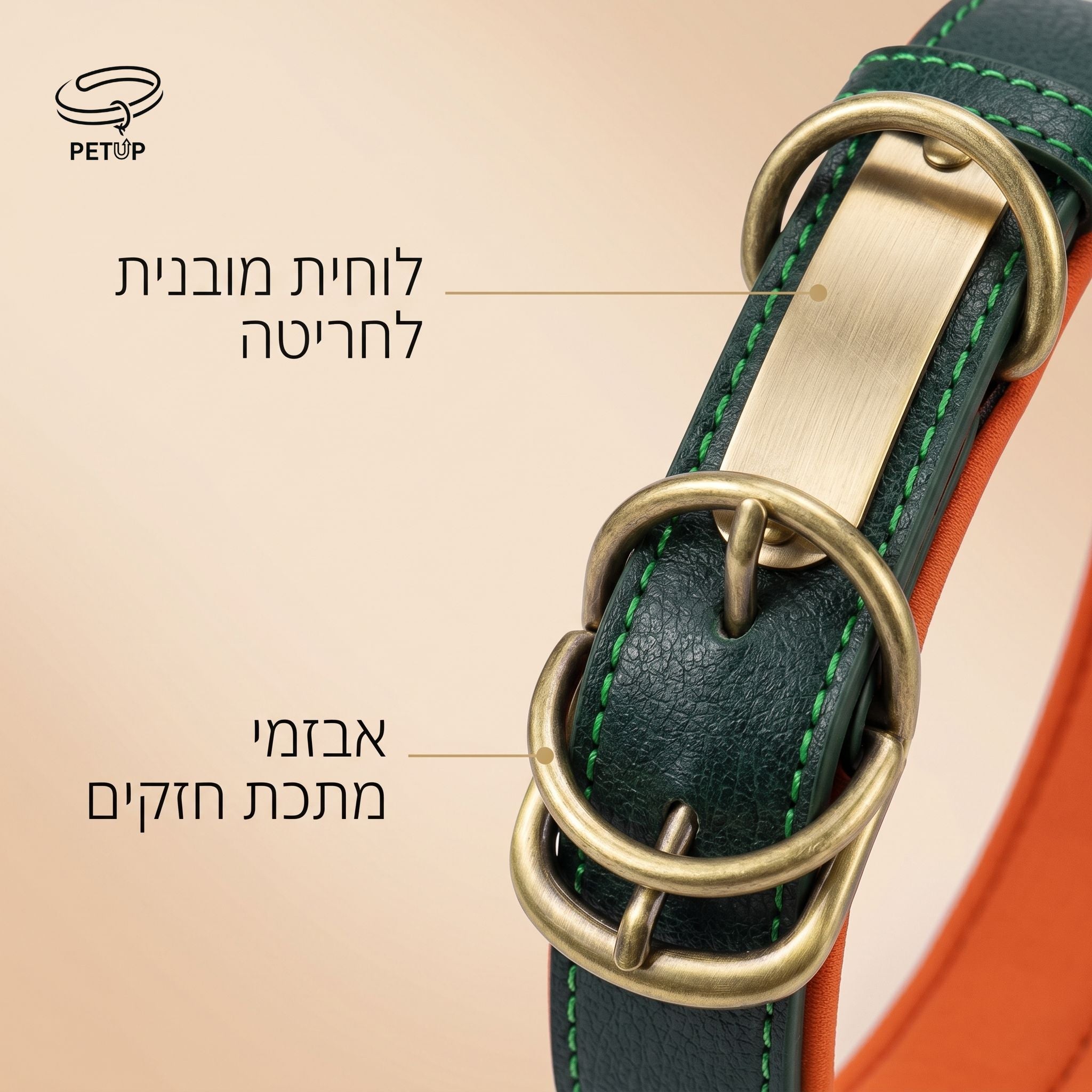 The Signature Collar